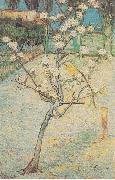 Vincent Van Gogh Flowering Pear-Tree Sweden oil painting artist